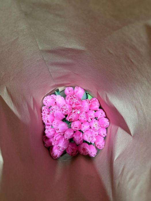 Предзаказы на 8 марта тюльпаны