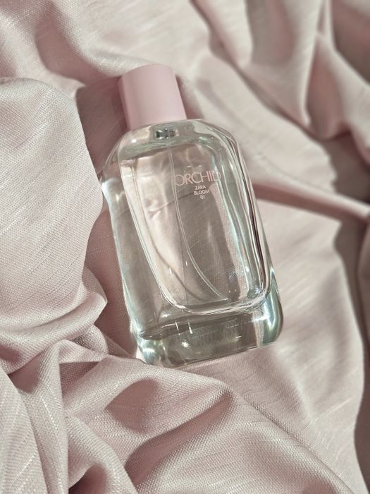 Orchid ZARA bloom 01