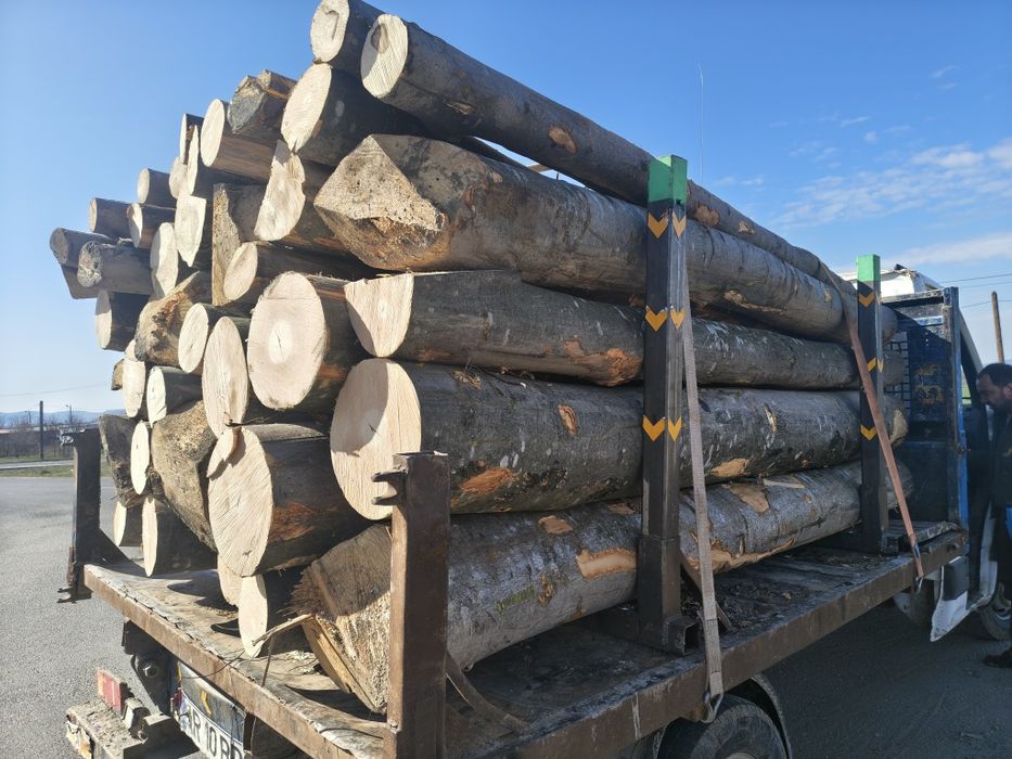 Lemne de foc fag, carpen!