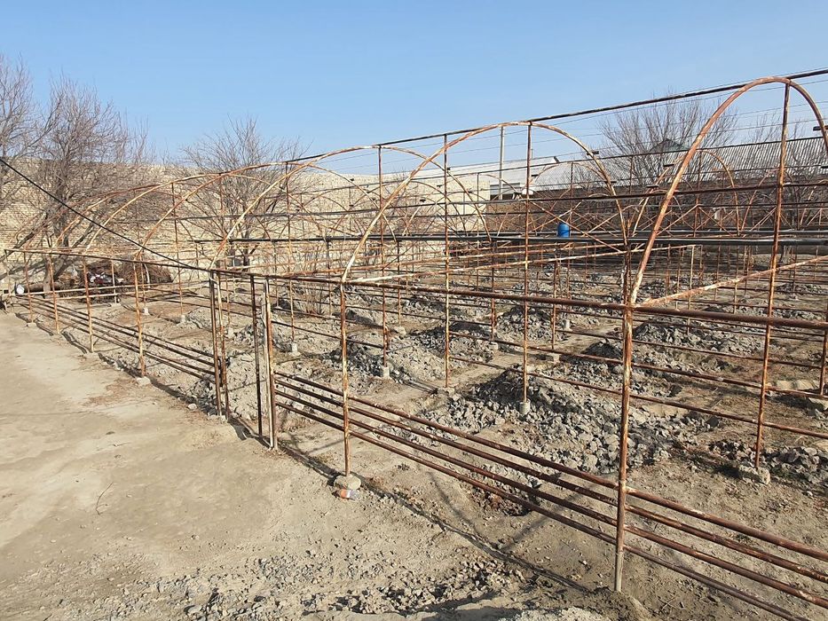 Teplisa sotila. 8 sotiq