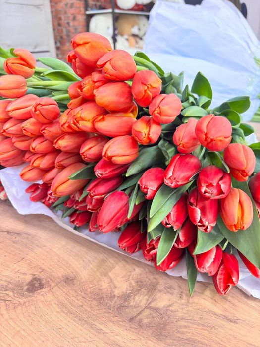 Продам Тюльпаны Белорусские