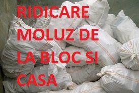 Transport marfa, mutare mobila,  cu manipulanti Craiova - tara