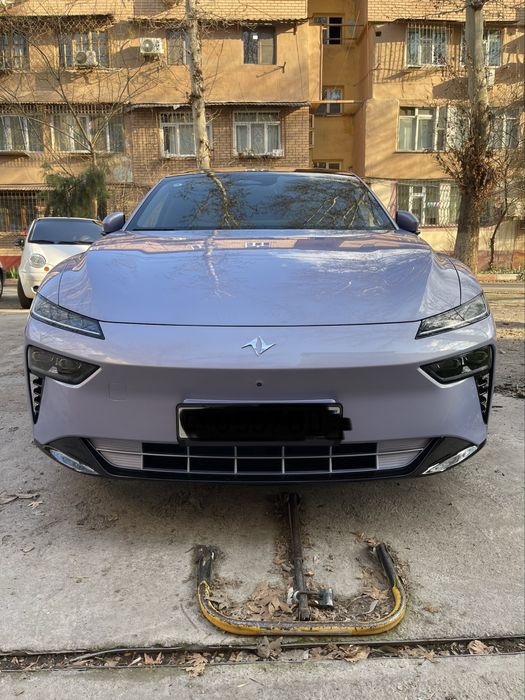 Dong feng 007 electro