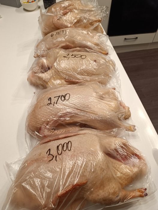 Продам домашних уток,находимся в Имантау.