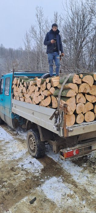 Lemne de foc esență tare și moale uscate sau verzi tăiate și despicate