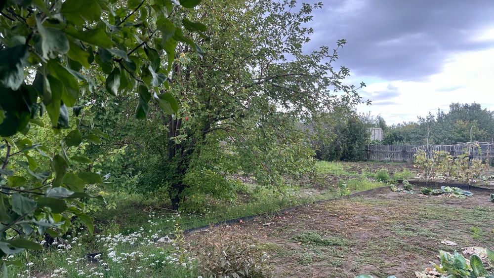 Продам дачу сад здоровье.