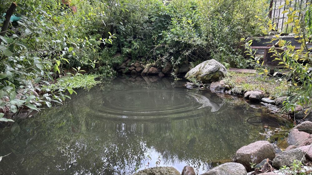 Аренда дома 2-4 человека