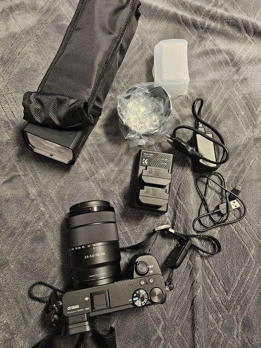 Sony alpha 6600...