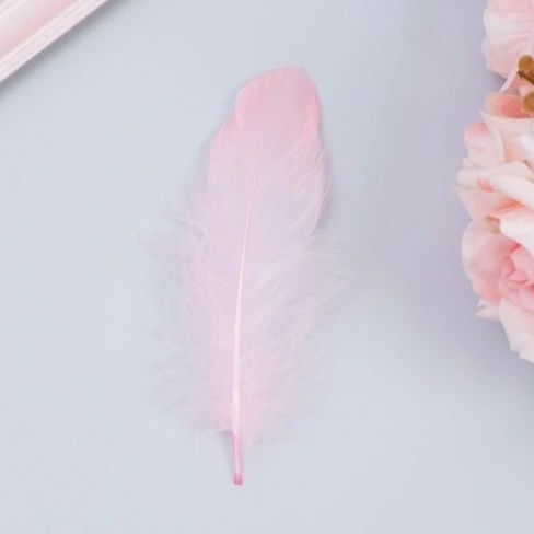 Перья для праздника, творчества