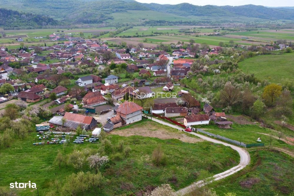 Teren intravilan | Trei Sate