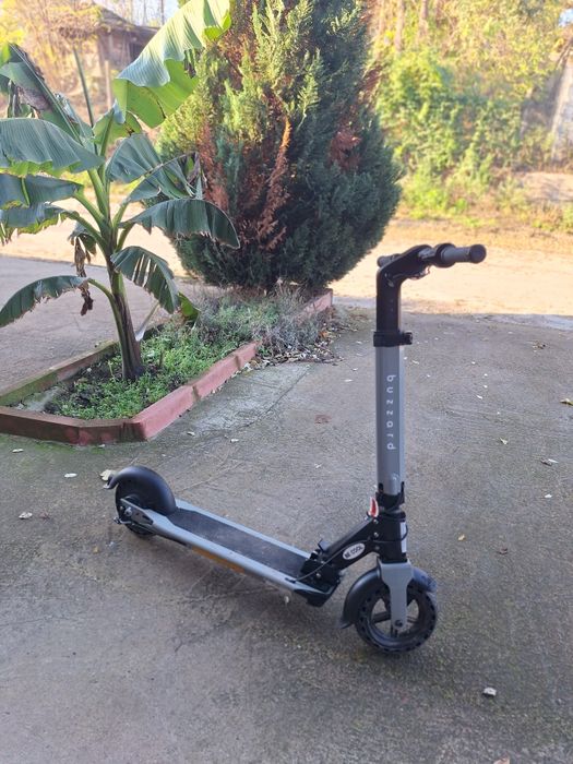 Тротинетка марка buzzard