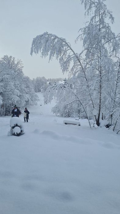 Vand sau schimb Cabana exclusivista