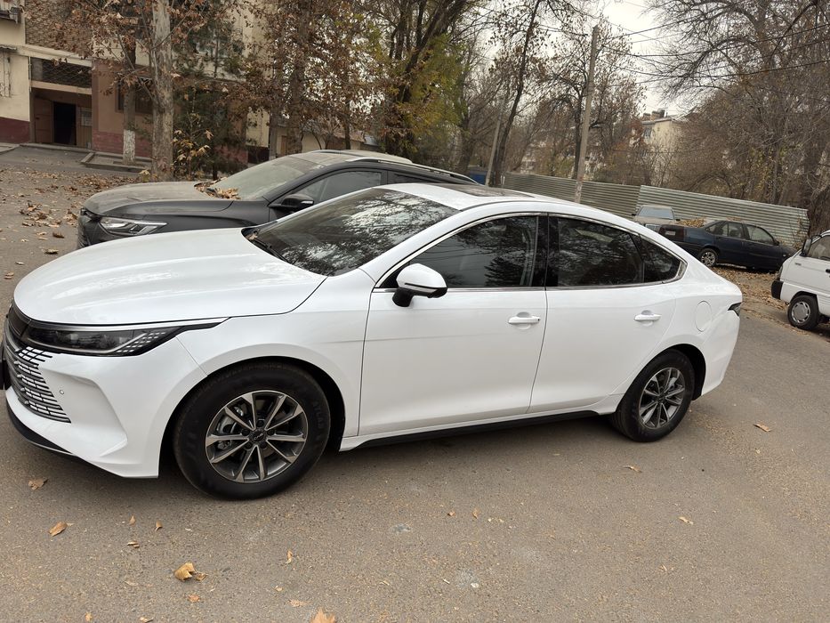 Chazor 2 poz 55li naxt yoki nasiya savdo