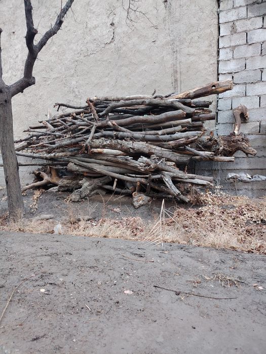 Утинлар сотилади