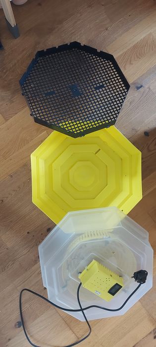 Инкубатор Клео 5