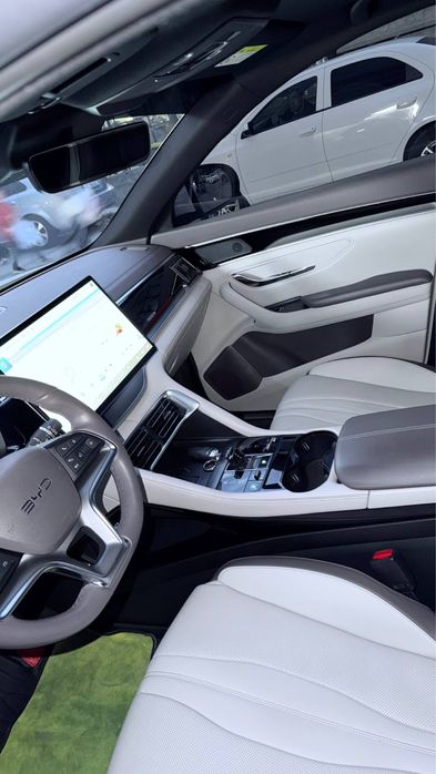 Other Song Pro DM-i Champion 2024 — 5