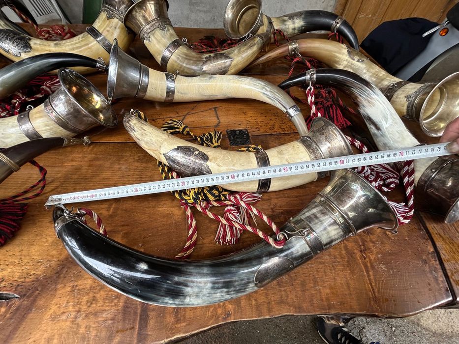 Колекция антични рогове