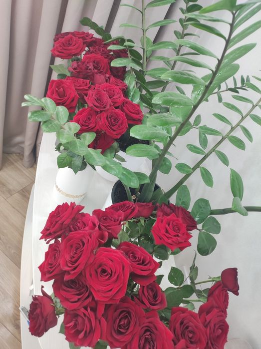 Продам розы, срочно 30 шт
