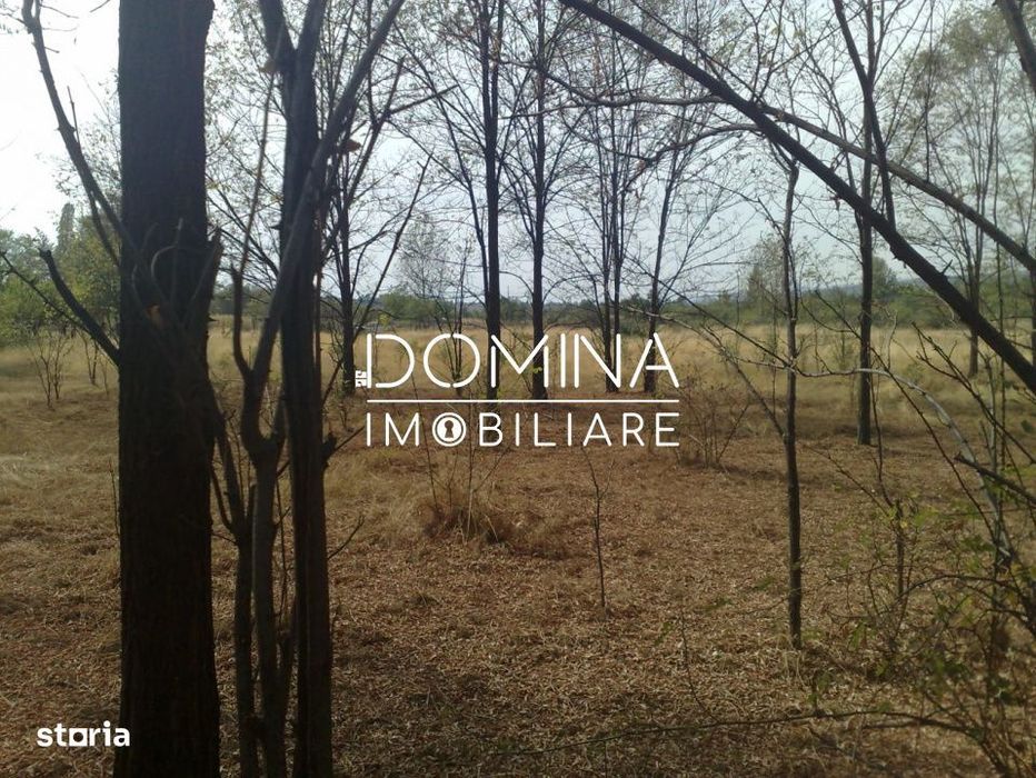 Vanzare teren intravilan 6843 mp, sat Polovragi