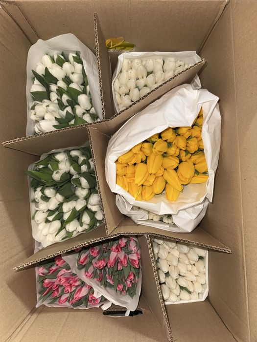 Пионы тюльпаны пионовидные