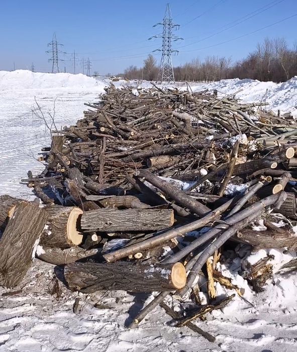 Дрова бесплатно самовывоз