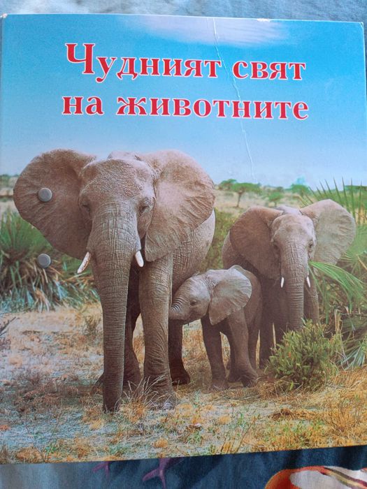Детска енциклопедия