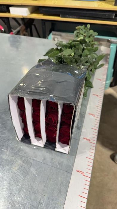 Розы оптом 450тг