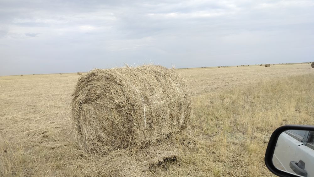 Продам Рулонны сено 110 Прф