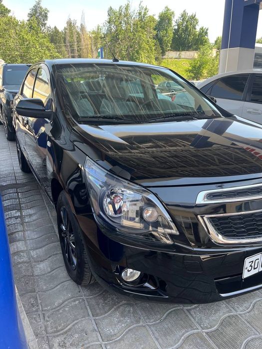 Cobalt midnight  2025