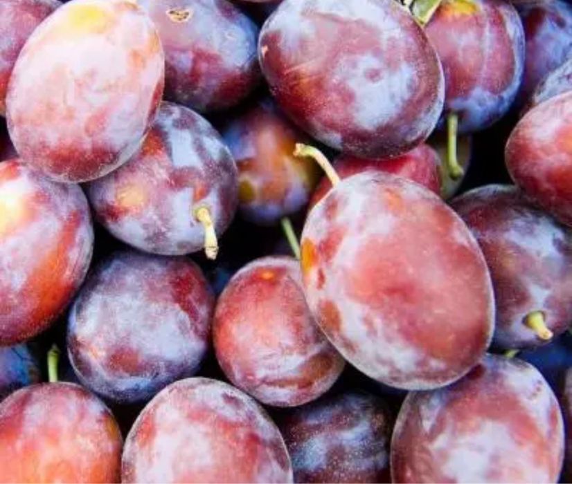 Vand prune pentru tuica