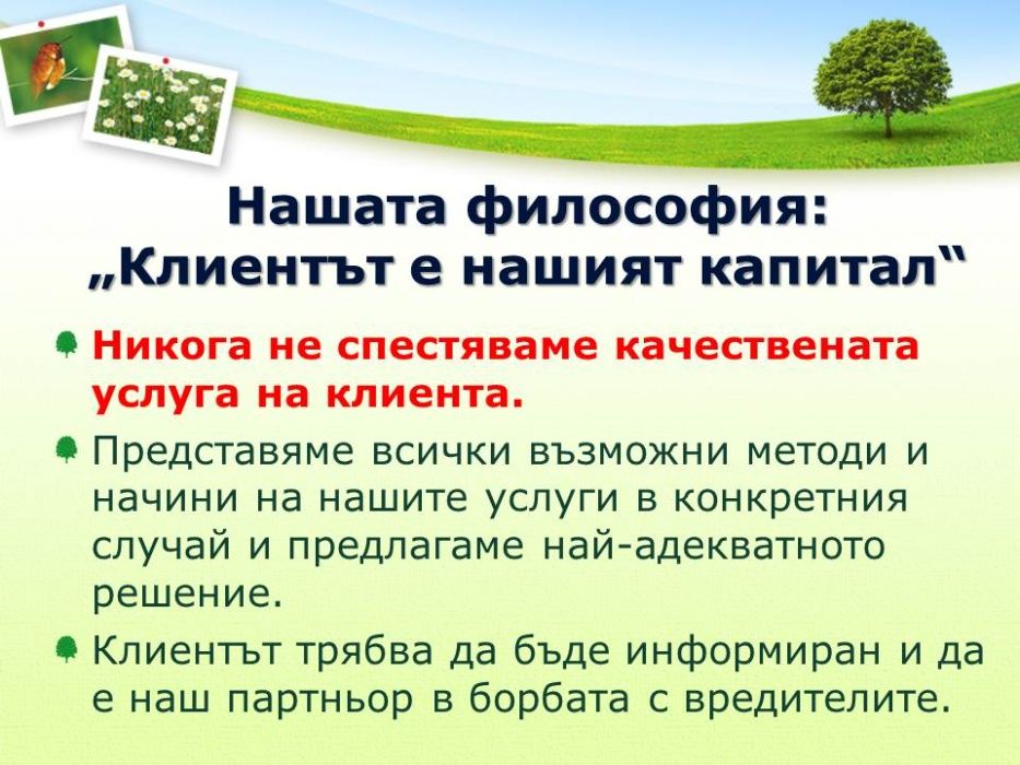 Обезпаразитяване на подпокривни пространства. Пръскане срещу хлебарки.