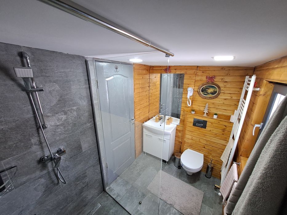 Cabana   în  Mtii Parâng . Zona Rusu