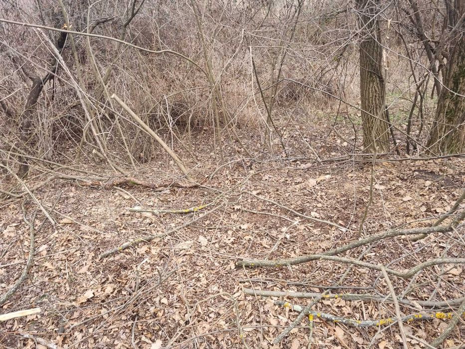 Teren extravilan si intravilan de vanzare in Valcea, Opatesti