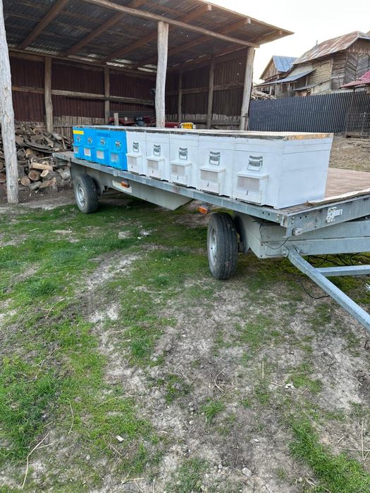 Schimb cu tractor 650