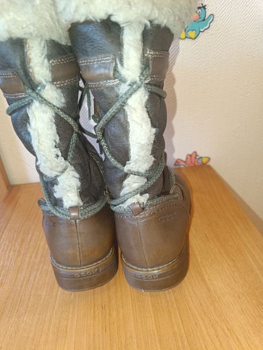 Сапоги для девочки Geox 30 р