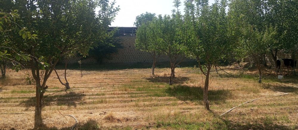 Участка сотилади жомбойда