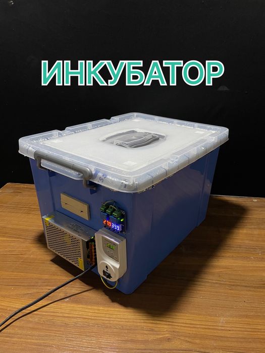 Inkubator yangi avtomatik,