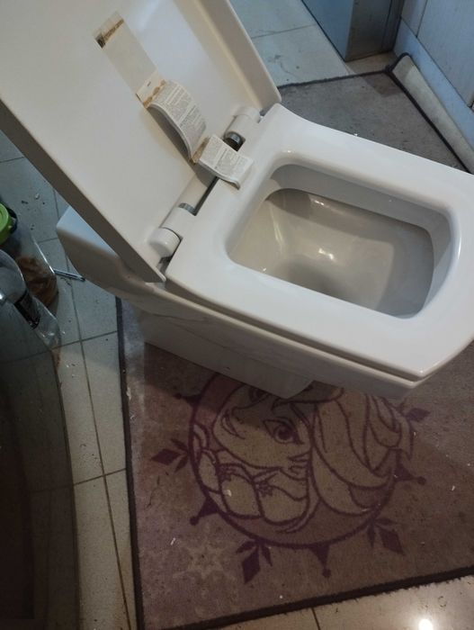 Качествена тоалетна чиния Viillery& Boch внос от  Германияяh 1748