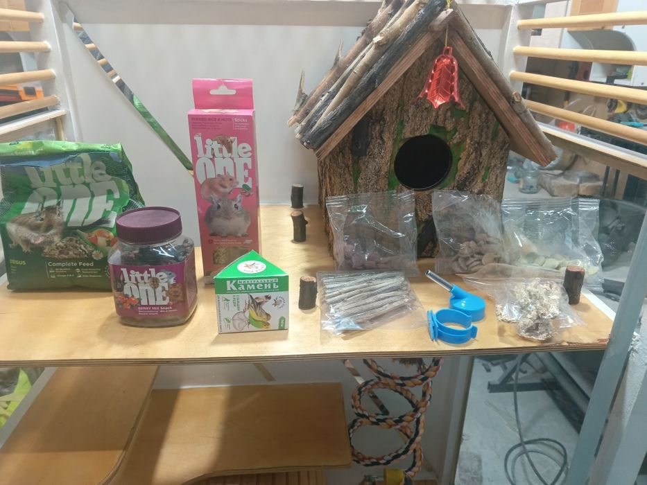 Витрина для Шиншиллы и белка