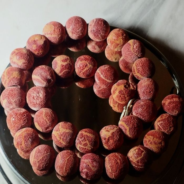 Натуральные кораллы Италия