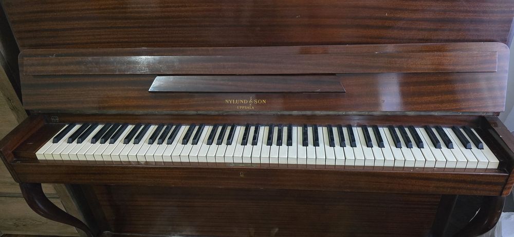 Pianina Nylund Son