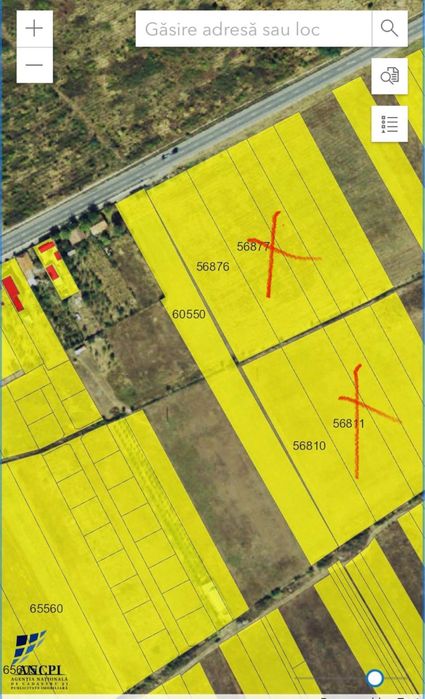 Teren intravilan( parcelat) walter maracineanu