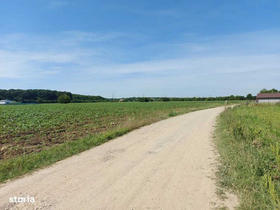 Teren intravilan 5.000 mp, Ghermanesti, padurea Snagov