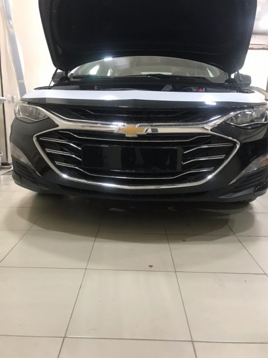Premier qlish malibu 2 ni