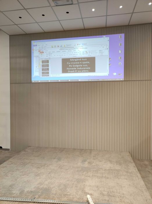 Riflaje MDF vopsit L=280cm l=32cm Apk Panel