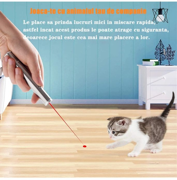 Jucarie Interactivă  Pisici si Caini, Laser Pointer Reîncărcabil USB