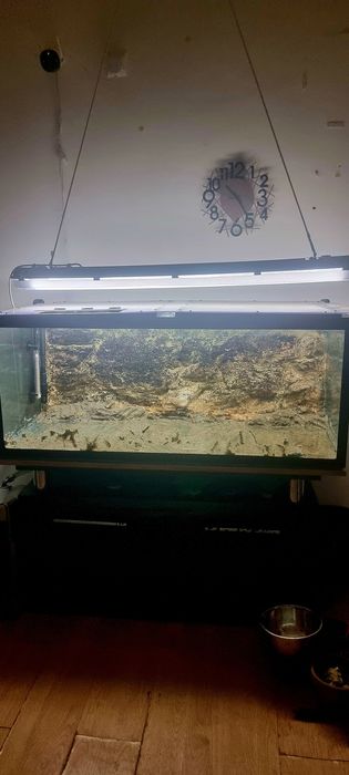 Acvariu 300l(120×50×50)+stand +filtru extern