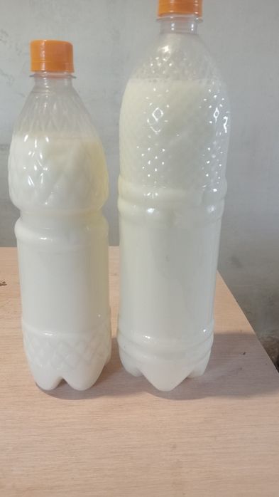 Саумал саумал Қымыз қымыз қымыз