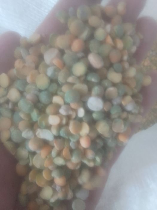 Зерноотходы Отруби Овёс Полова