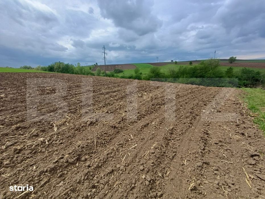 Teren de vanzare extravilan, 50 ari, Cumparatura
